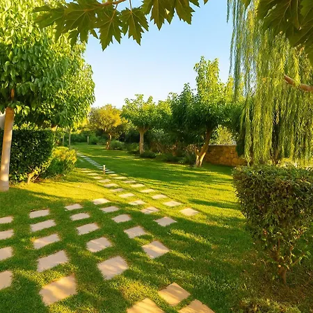 Mear Luxury Homes - Cretan Sunny Gems *